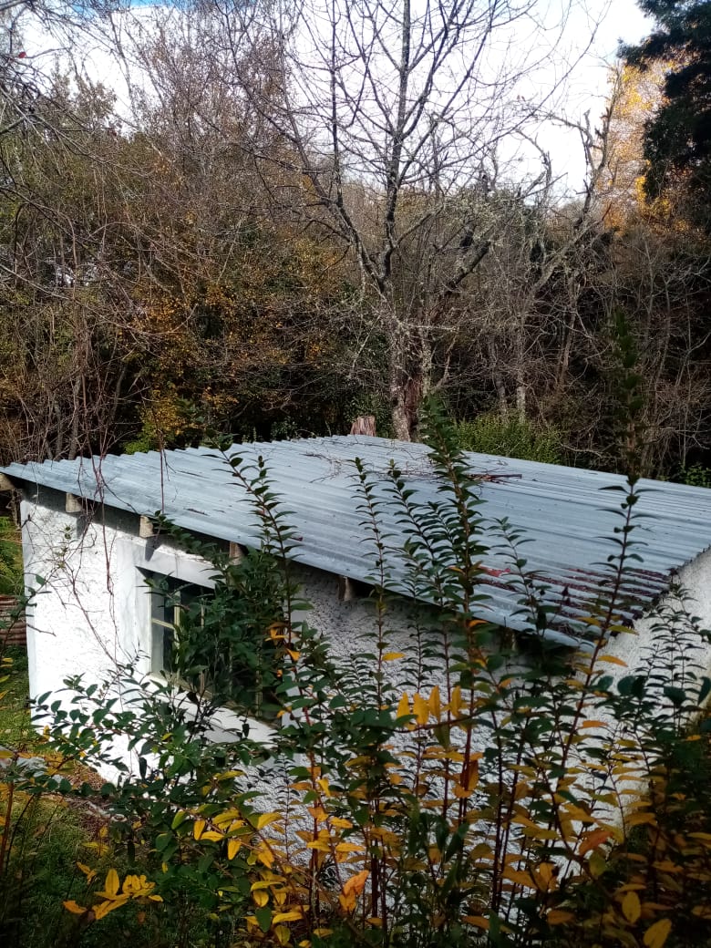 3 Bedroom Property for Sale in Hogsback Eastern Cape